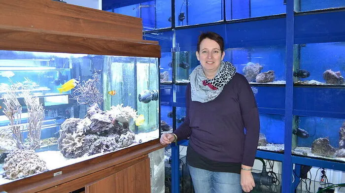 Sabine Freithofer ist mit ihrer „Terraristik“ übersiedelt