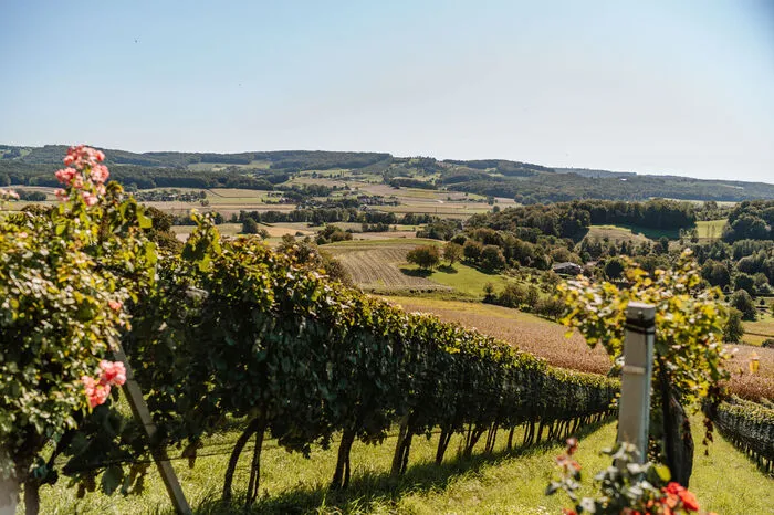 Das Weingut liegt in der Kultur- Genuss- Region Südoststeiermark mitten im Steirischen Vulkanland.
