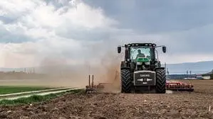 Hält die Trockenheit bis in den Mai an, befürchtet die Landwirtschaftskammer Kärnten Einbußen bei der Heuernte