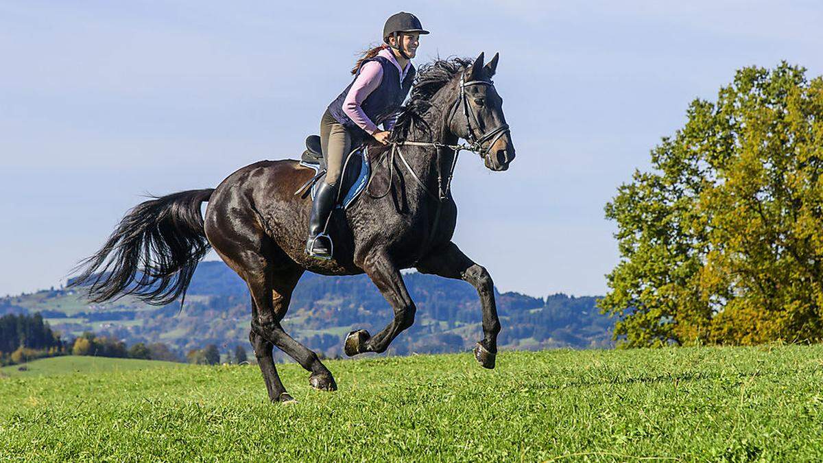 Bei einem Reitunfall wurde eine 29-Jährige verletzt (Sujetfoto)