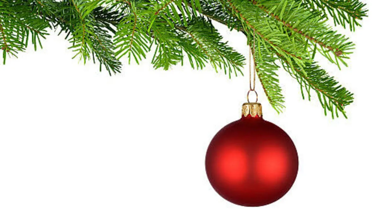 Der Brauch, einen Christbaum aufzustellen, stammt aus Deutschland