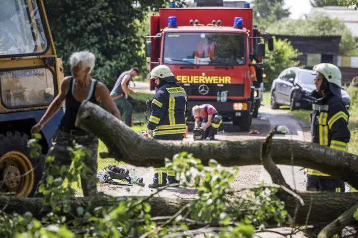 Die Unwetter tobten besonders über dem Osten, etwa in Berlin, sowie in Niedersachsen und Hessen. In Niedersachsen kamen am Donnerstag mindestens zwei Menschen ums Leben. Dann zogen die Unwetter über Berlin und die östlichen Bundesländer. In der Nacht gab es zunächst keine weiteren Toten. In den meisten Regionen kam es hauptsächlich zu kleineren Schäden durch umgestürzte Bäume, Starkregen oder Blitzeinschläge. Bild: Wittenburg