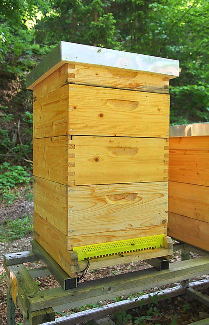 Das Messsystem eines Bienenstocks ist mit einem Akku und einer Photovoltaik-Zelle ausgestattet 