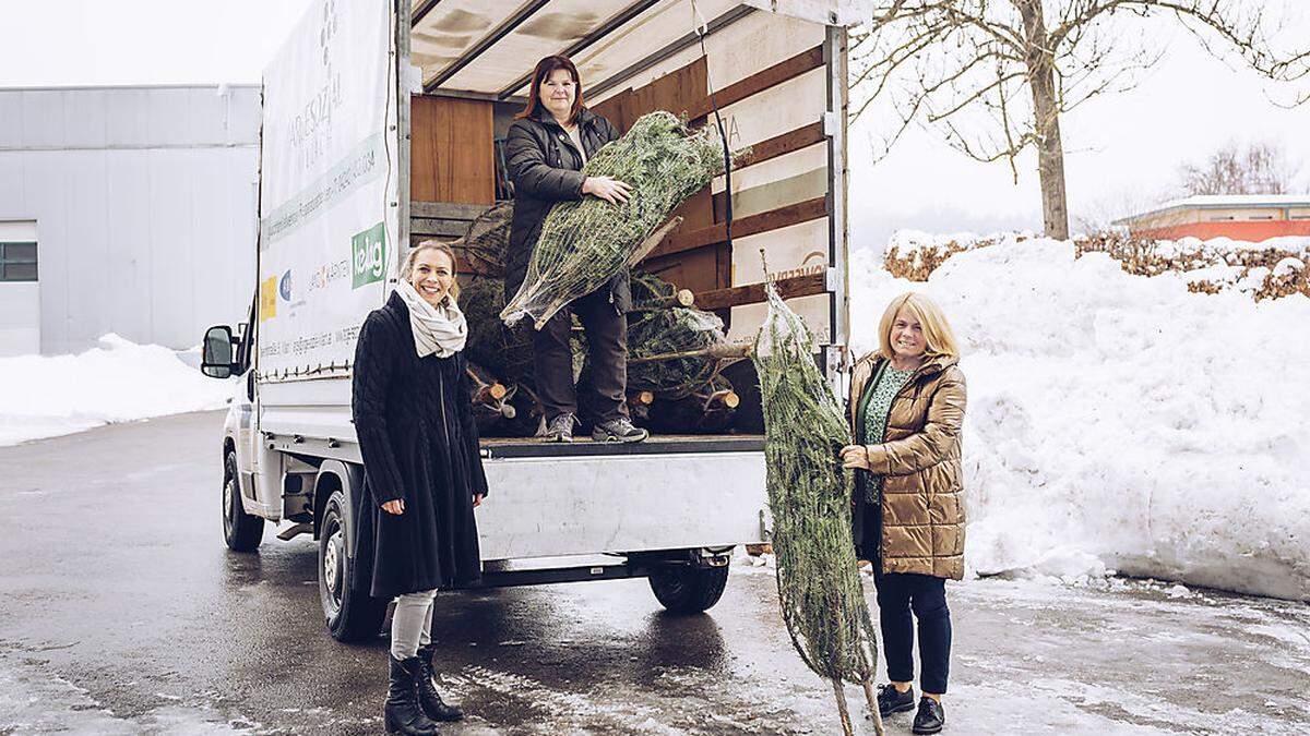 Von links: Stadtmarketing-Geschäftsführerin Claudia Kohl, Arge Sozial-Geschäftsführerin Ka-thrin Lex-Michevc und Villachs Sozialreferentin Vizebürgermeisterin Gerda Sandriesser beim Beladen der Christbäume