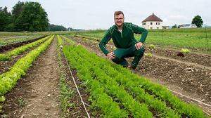 Veit Wakonig hat sein Gemüsefeld für Kunden geöffnet. Nicht nur die Pflanzen wachsen, mittlerweile hat sich das Feld verdoppelt. 