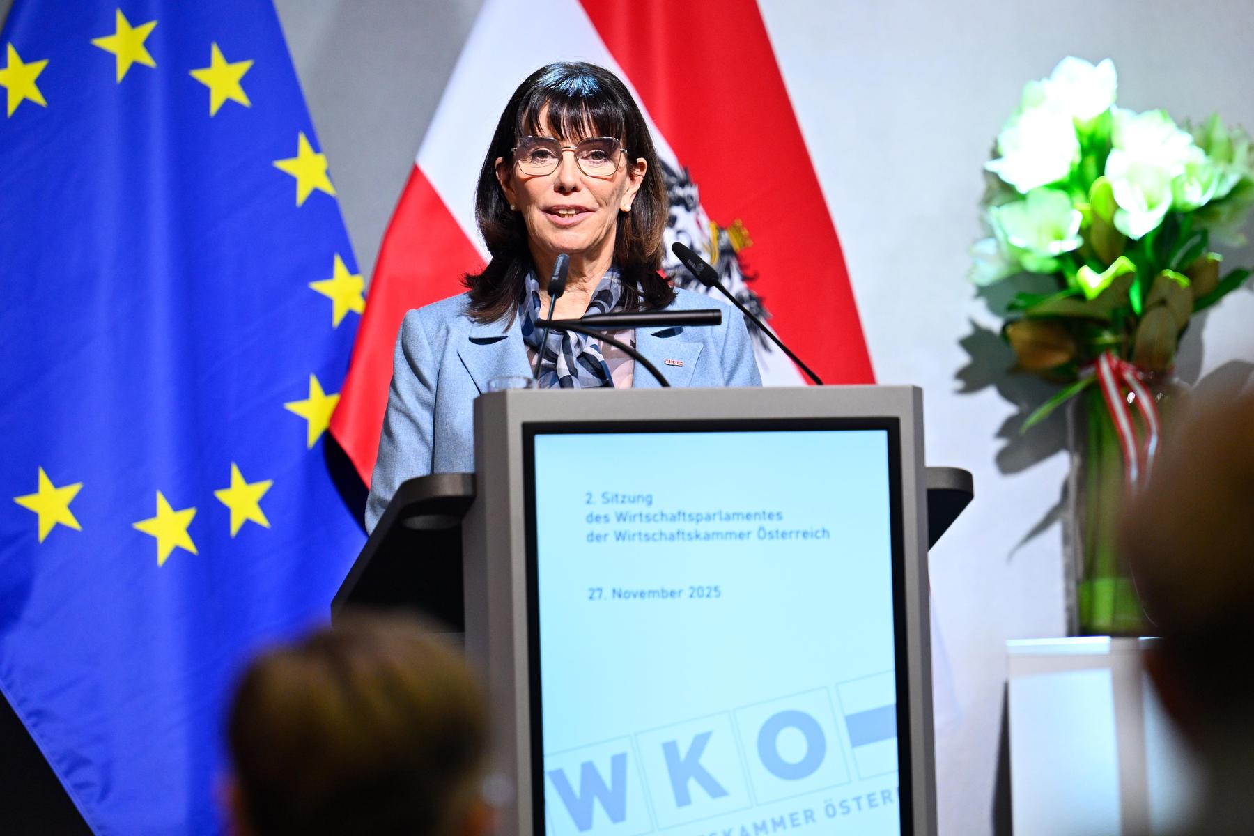 Martha Schultz: „Das WKO-Image in der Öffentlichkeit ist ramponiert“