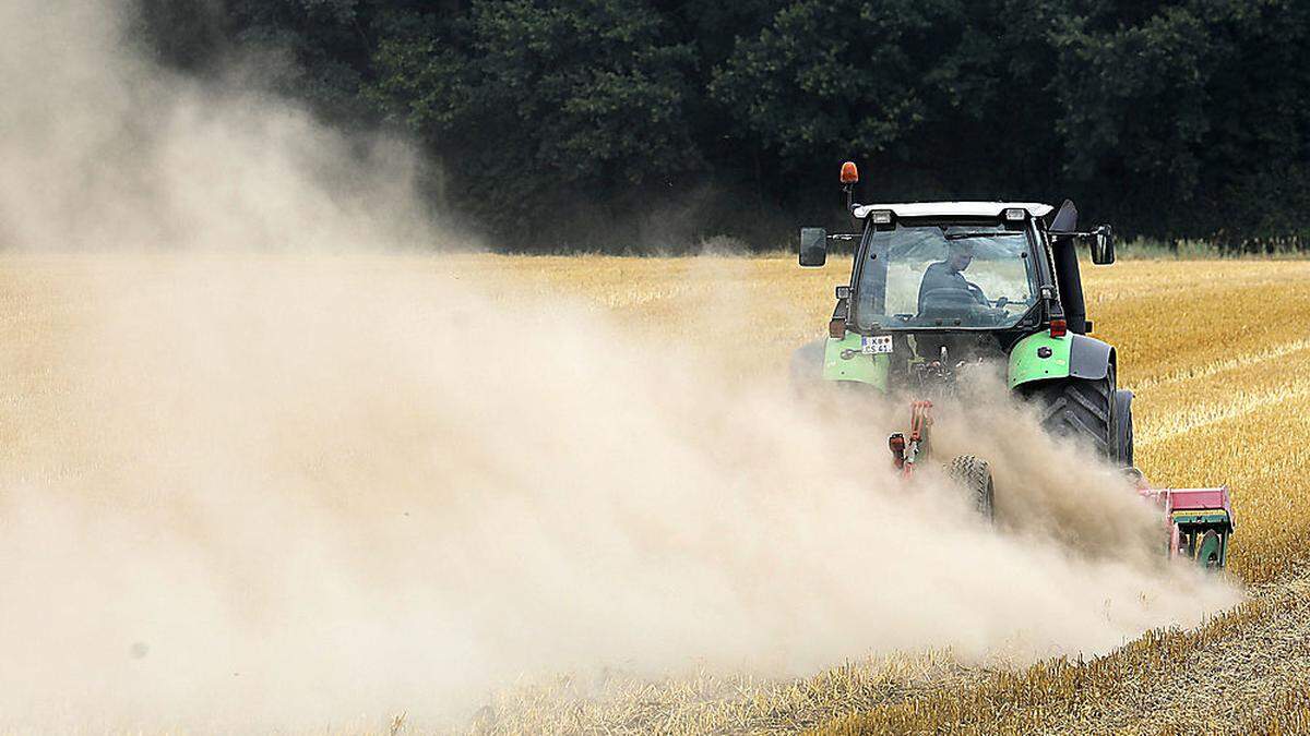 Viele Junge kehren dem Berufstand des Landwirts den Rücken. 