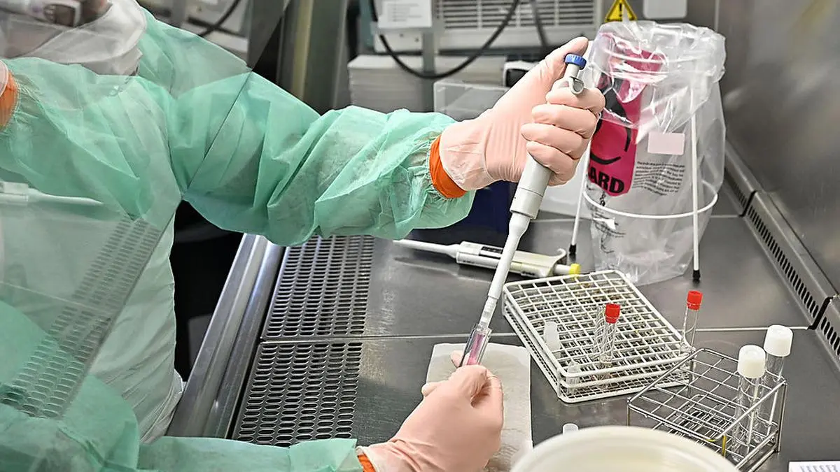 In Kärnten wurden bis Diuenstagnachmittag 138 Corona-Abstriche entnommen und zur Testung eingeschickt (Symbolfoto)