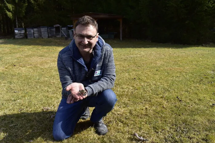 Dietmar Kreindl mit einem seiner Edelkrebse.