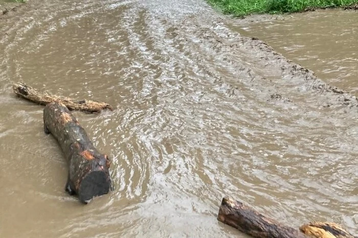 Am Nachmittag war dann vor allem die Weinbauregion in der Südsteiermark betroffen: Hagel und Starkregen sorgten etwa in Großklein für überflutete Straßen und machten Baumbergungen notwendig ...