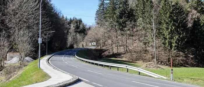 Blick auf eine Landstraße, auf deren Seiten viele Bäume wachsen