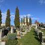 Der Friedhof am Weizberg: Eine letzte Ruhestätte in wunderbarer Hanglage