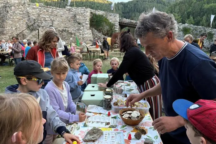 Der Zauberwald kann ab jetzt auch auf eigene Faust erkundet werden. Klicken Sie sich durch die weiteren Bilder!