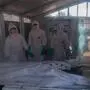 Die Zahl der Ebola-Fälle im Kongo steigt weiter an