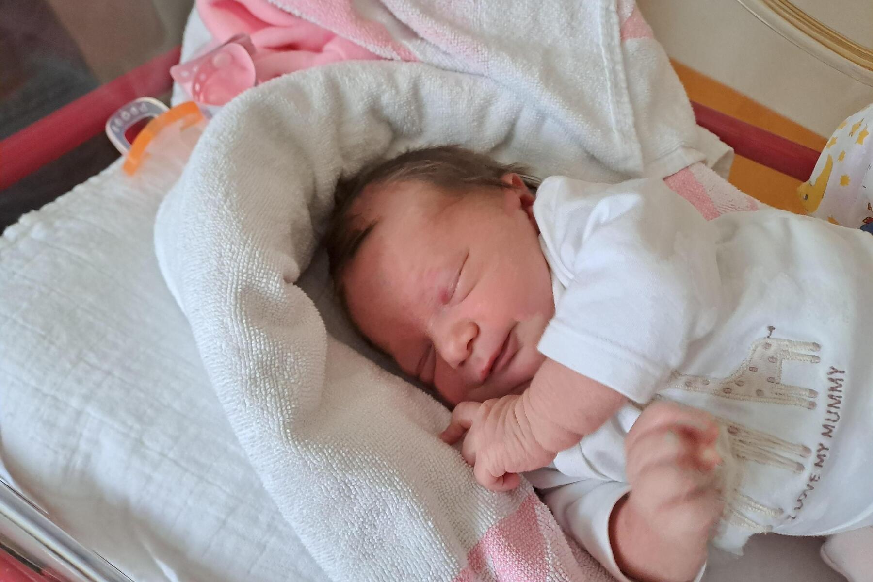 Hurra, wir sind da | Süßer Nachwuchs