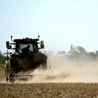 Trockenheit, Hitze und Dürre setzen der heimischen Landwirtschaft stark zu