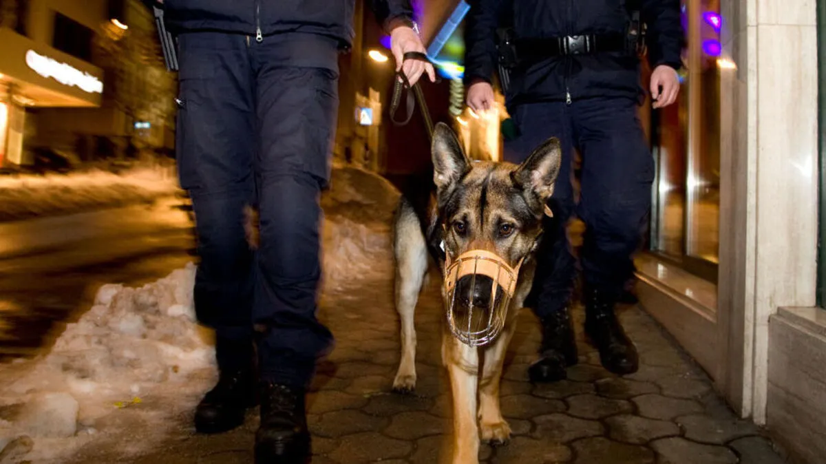Polizisten entdeckten die schlafenden Diebe