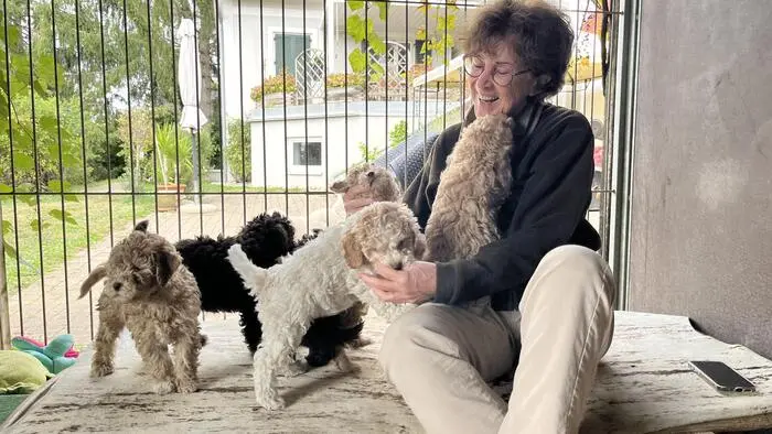 Roswitha Szabo mit ihren sechs Lagotto-Welpen im Hundegehege