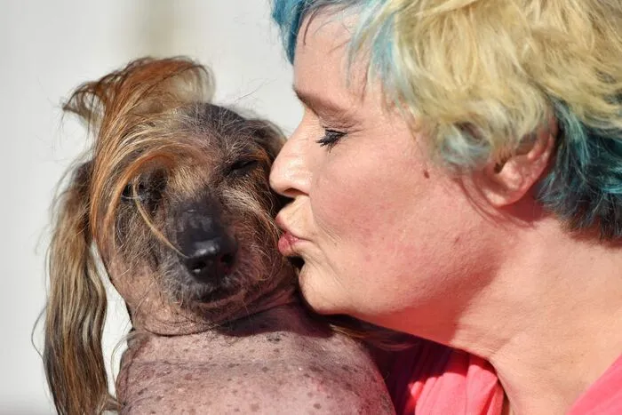 Ein inniger Küss für Himisaboo von ihrer Besitzerin.
