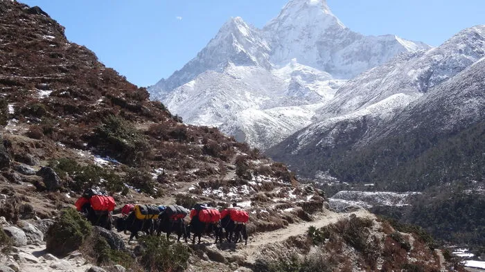 Hans Wenzl (46) aus Metnitz schaffte am 27. Mai seinen achten Achttausender: Den Mount Everest. Wieder im Alpinstil und ohne Flaschensauerstoff. Wenzl richtete alle Hochlager selbst ein.