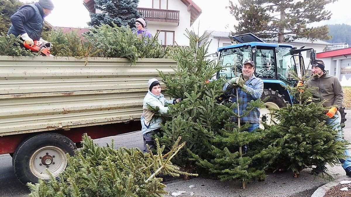 Seit 15 Jahren werden in Seeboden ausgediente Christbäume kostenlos abgeholt