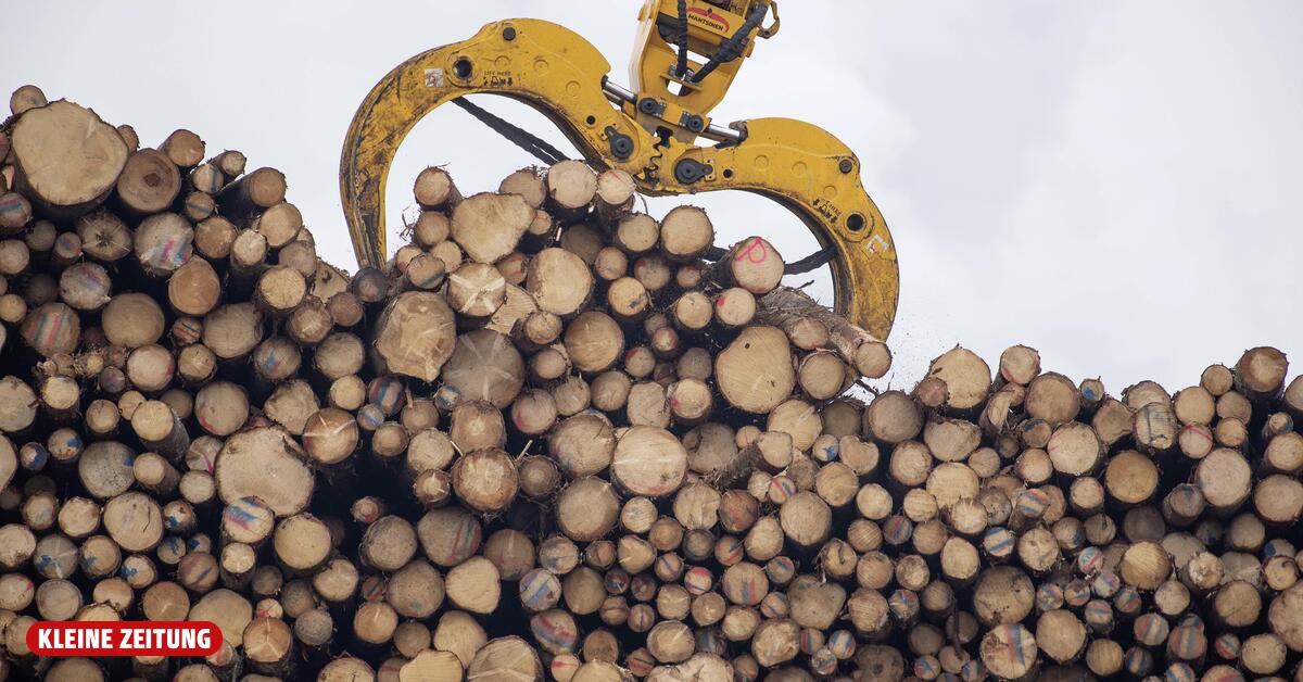 EU-Entwaldungsverordnung verschoben, weitere Vereinfachungen in Planung