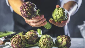 Artischocken pflanzt man mittlerweile auch gerne bei uns an