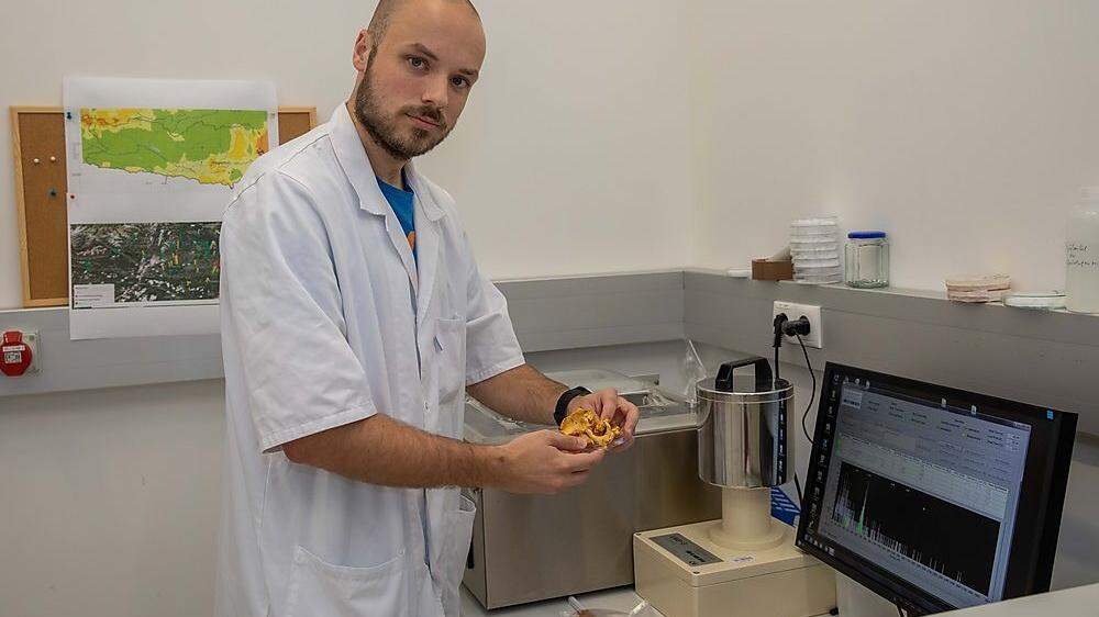 Der chemische Analytiker Rene Scharf prüft im ILV-Labor mittels Gamma-Spektrometrie die Belastung der Pilze