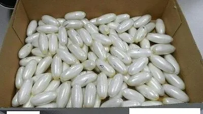Dreißig solcher "fingers" (Symbolbild) wurden beschlagnahmt