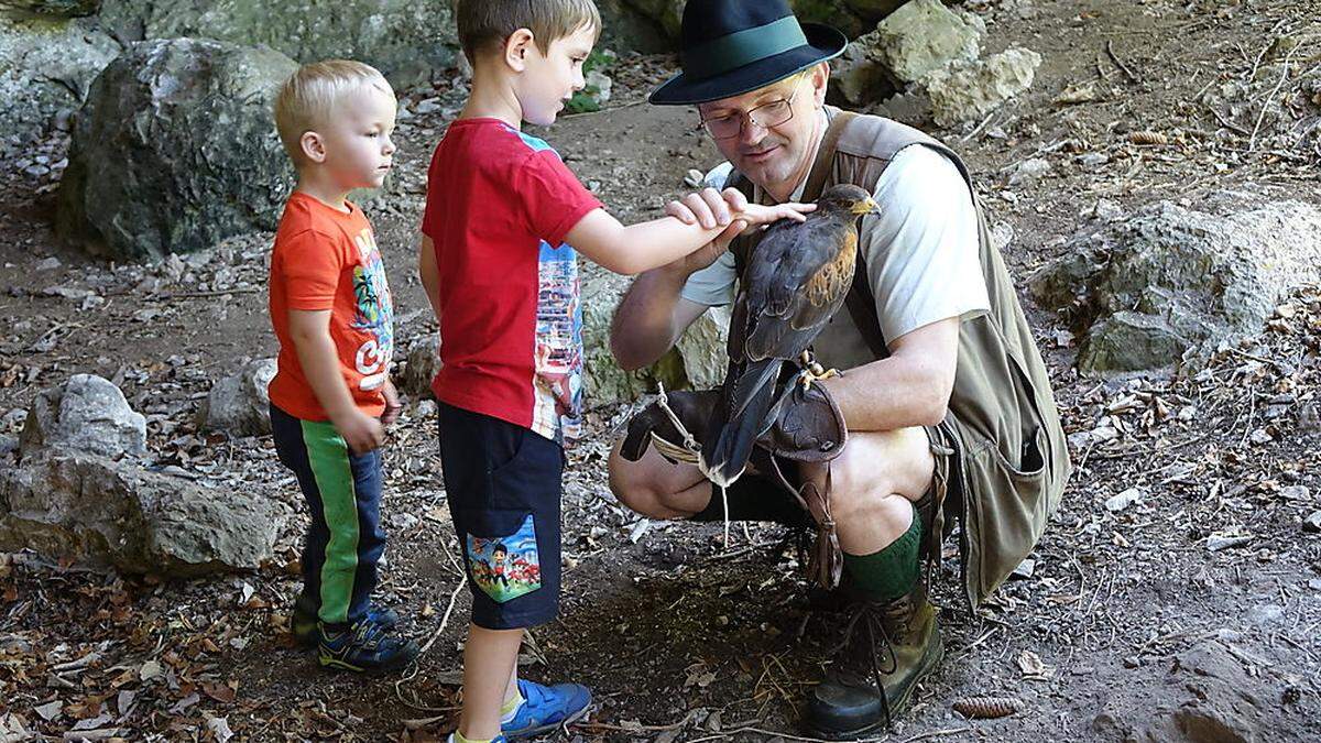 Förster Gerhard Strobl zeigt den Kindern den Wüstenbussard „Niklhu“