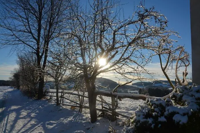 Gabriele Grabner hat auf diesem Bild einen strahlenden Wintermorgen in Vorau festgehalten.