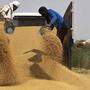 Indien verbietet Weizenexporte mit sofortiger Wirkung