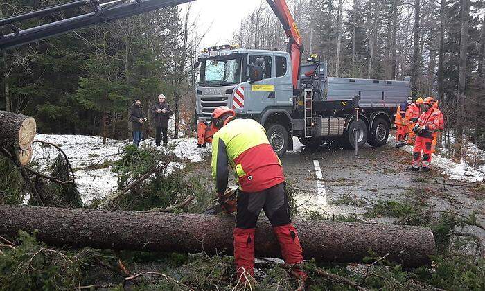 Forstfachleute und Experten der Stadt Villach checkten die Situation auf der Dobratsch-Alpenstraße