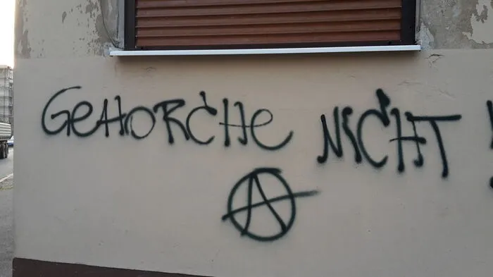 Nich nur an dem besetzten Haus in der Idlhofgasse in Graz sollen sich die "Anarchos" ausgetobt haben. Anrainer beklagen, dass auch Gebäude in umliegenden Straßen beschmiert worden sind.