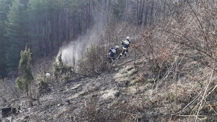 Ein Nachbar bemerkte am Sonntagnachmittag einen Böschungsbrand in Eichberg-Trautenburg (Gemeinde Leutschach) und verständigte den Grundstücksbesitzer.