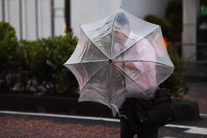 Bäume knickten um und beschädigten Stromleitungen. Berichten zufolge fiel in mehr als 900.000 Haushalten der Strom aus.