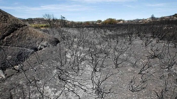 Das Feuer nahe der südfranzösischen Gemeinde Ille-sur-Têt konnte gelöscht werden.