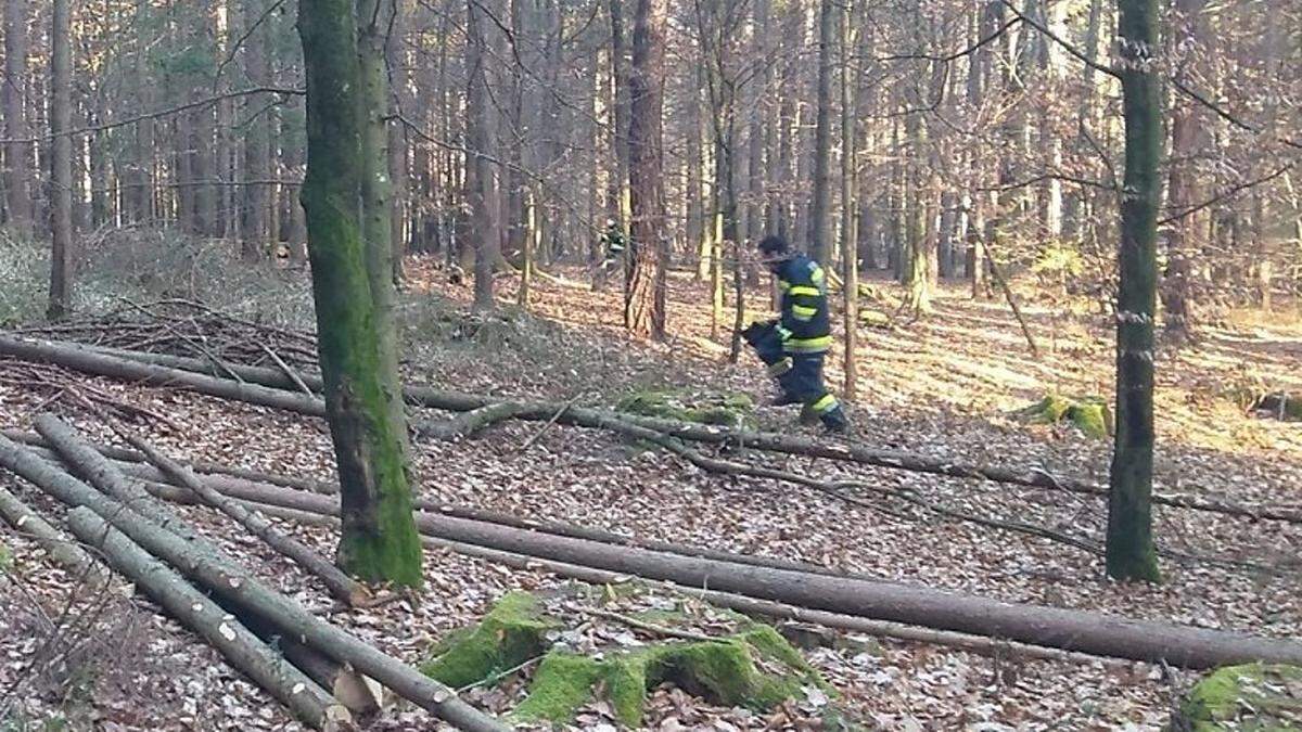 Kurioser Einsatz mitten im Wald