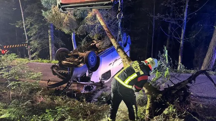 Auch ein umgestürzter Baum musste von den Einsatzkräften der Freiwilligen Feuerwehr Pöllau entfernt werden