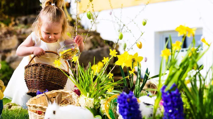 Auf den Lavanttaler Ostermärkten findet man viele Geschenke fürs Osternest der Kinder, aber auch Aufmerksamkeiten für Erwachsene