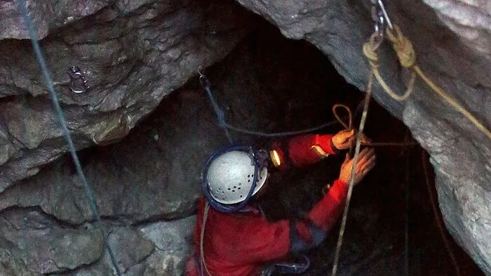 Sujetbild
