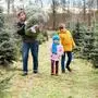Eine Familie geht mit einem Weihnachtsbaum | Mit den alten Weihnachtsbäumen kann man auch was Gutes tun