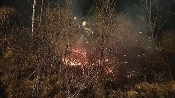 Kurz nach 21.45 Uhr wurden die Feuerwehren alarmiert