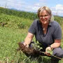 Elisabeth Flödl hat auf ihrem Acker in St. Michael ob Bleiburg mit dem Japanischen Staudenknöterich zu kämpfen