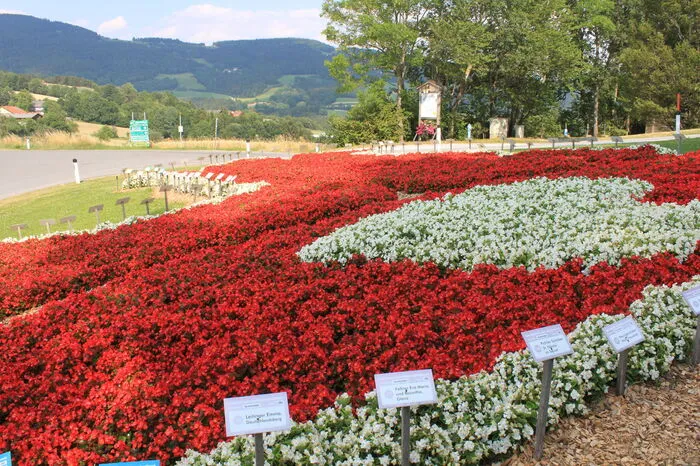 Ebenfall im Olymp der Blumenschmuckdörfer: Pöllauberg mit fünf Floras