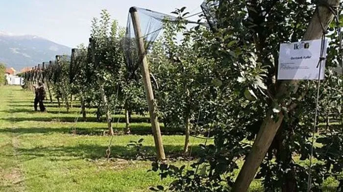 Gebündeltes Wissen: das Obst- und Weinbauzentrum St. Andrä 