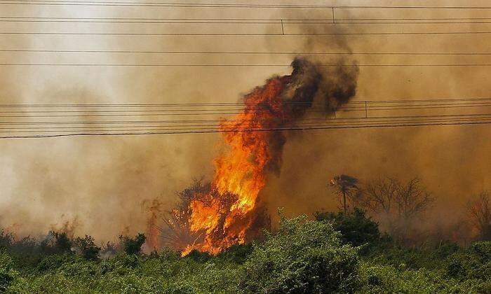 Das größte Sumpfgebiet der Welt steht in Flammen: Fast 50.000 Hektar betroffen 