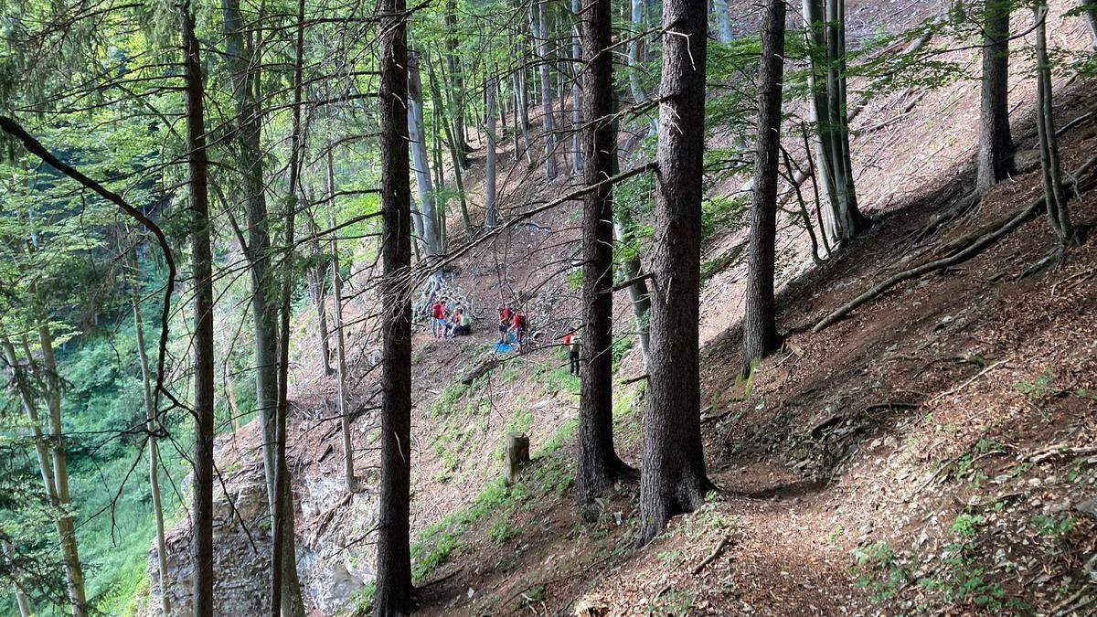 Fünf Weizer Bergretter waren in der Raabklamm im Einsatz, um der Person zu helfen