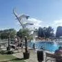 Zahlreiche Schwimmer freuen sich auf das Schwimmen