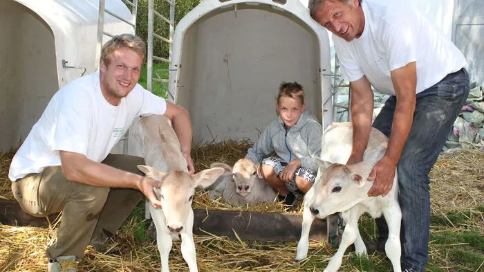 Michael, Maximilian und Rudolf Atzler (von links) freuen sich über die beiden Kühe Brigitta und Brigitte sowie den Stier Bingo (in der Mitte).